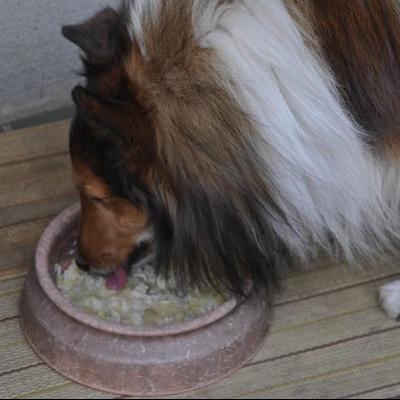 サツマイモと豚肉のやわらか粥