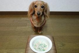バクフォト