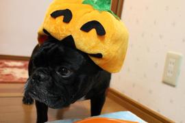 おかわり！！！