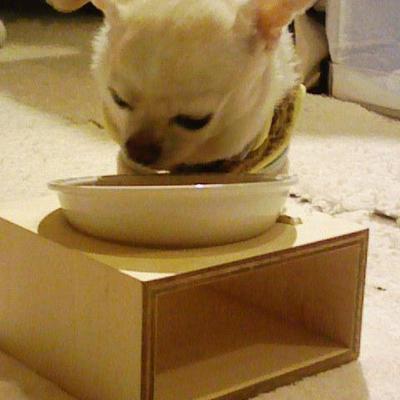 にょし飯