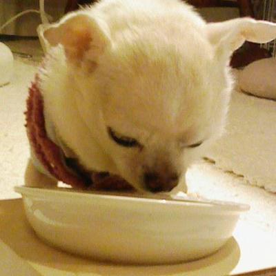 抗酸化を目指したご飯