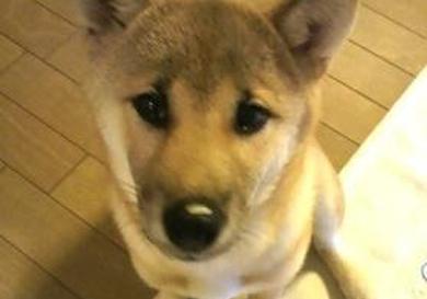 プロフィール写真
