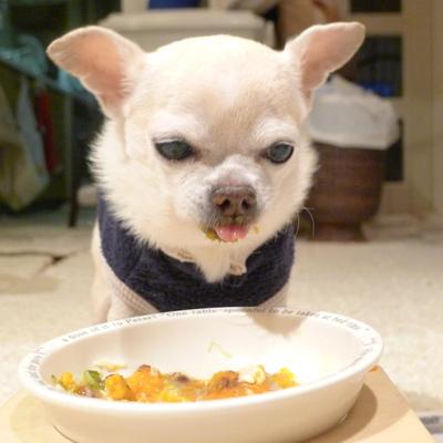 冬至のごはん