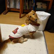 あやなな