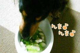 おいしくって完食したよ～♪
ありがと～U^ェ^U/