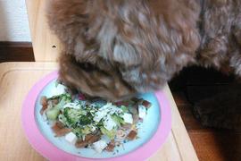 初手作り♬
とーーーっても喜んで食べてくれました( *´艸｀)
