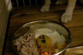 ハロウィーンご飯だワン♪