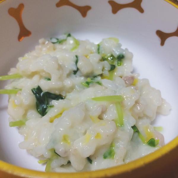 豚肉と豆苗のミルクリゾット