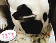 SAMJAY食育勉強記