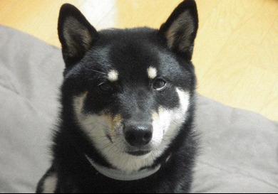 プロフィール写真