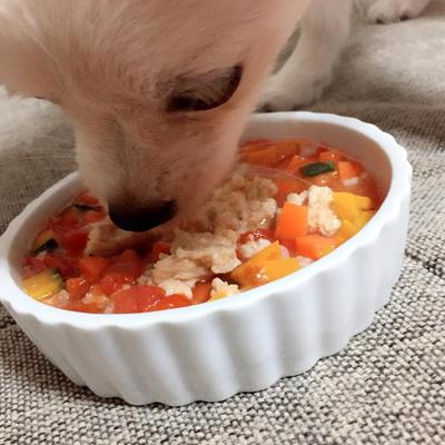 野菜たっぷり♪ミネストローネ風