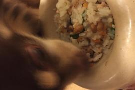 納豆大好きなのであっという間に完食！
ペアレシピで人間も同じ夕飯を楽しみました