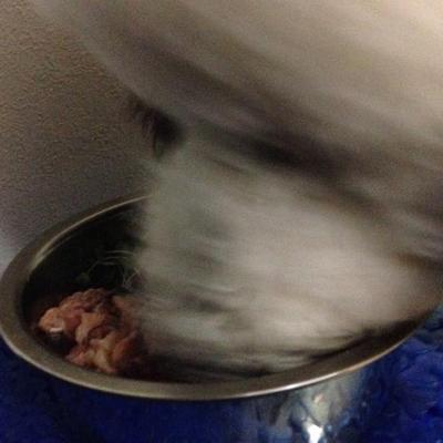 サツマイモのリゾット生肉添え♡