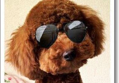 プロフィール写真