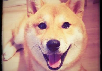 プロフィール写真