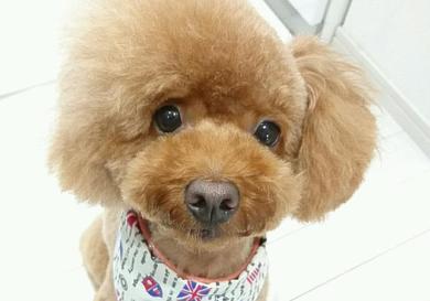 プロフィール写真
