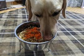 なかなかの食いつき!
ミートパスタ!