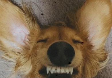 プロフィール写真