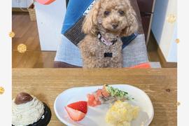 お誕生日ご飯　タラのムニエル　たまごチャーハン　いちご　モンブラン