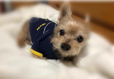プロフィール写真