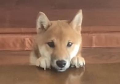 プロフィール写真