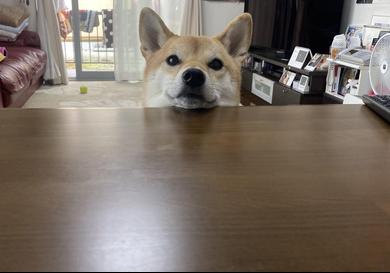 プロフィール写真