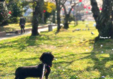 プロフィール写真