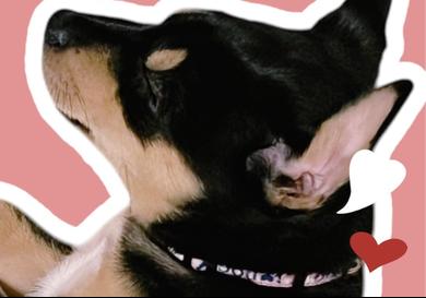 プロフィール写真