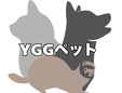 YGGペット