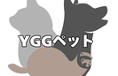 YGGペット