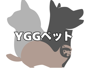 YGGペット