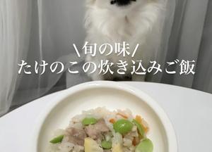 たけのこの炊き込みご飯