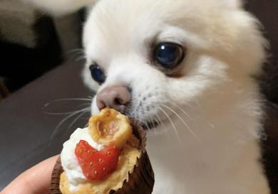 プロフィール写真