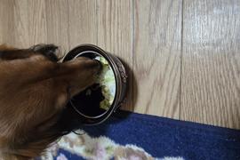 即完食しました☆