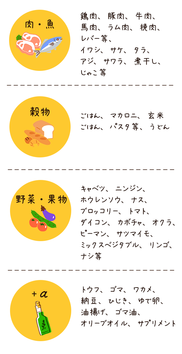 犬にあげたい食材