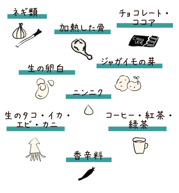 犬にあげない方がいい食材