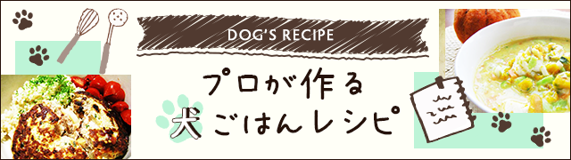 プロが作る犬ごはんレシピ