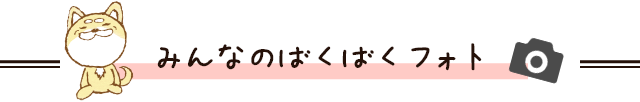 みんなのばくばくフォト