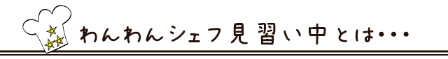わんわんシェフ見習い中とは・・・