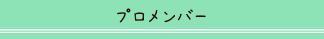 プロメンバー