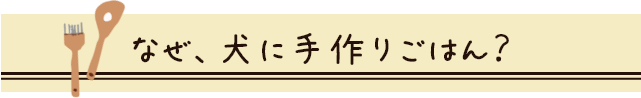 なぜ、犬に手作りごはん？